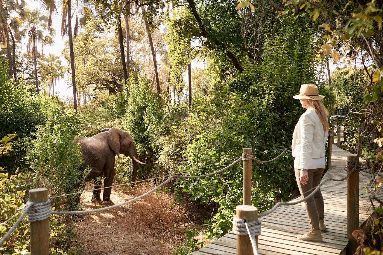 Victoria Falls River Lodge מראה חיצוני תמונה